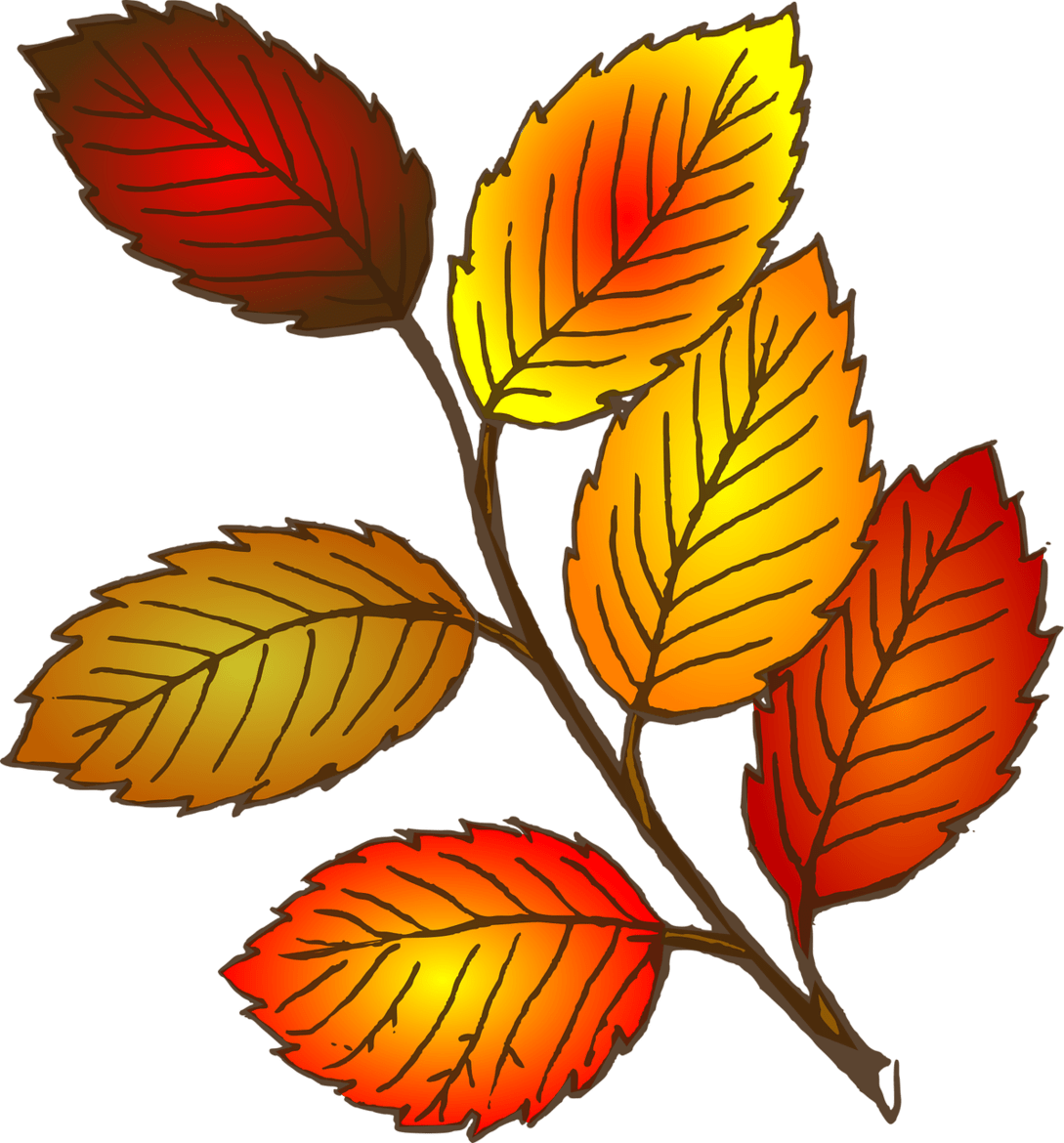 autumn-310541-1280