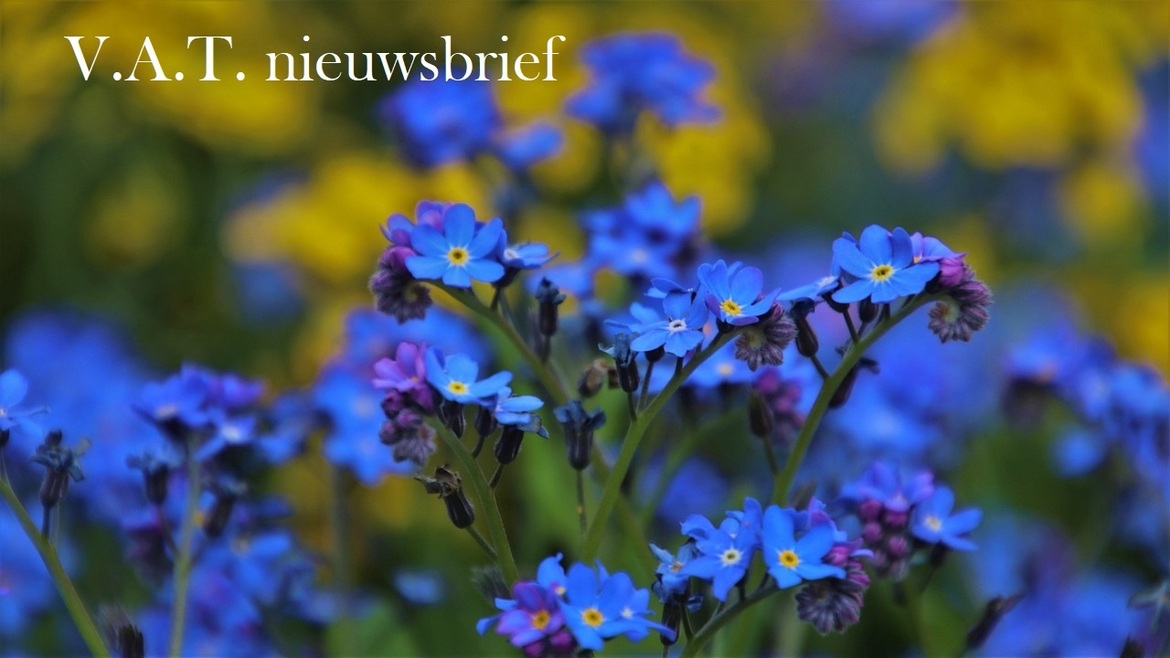 blue-g908b2e538-1280 blue-g908b2e538-1280