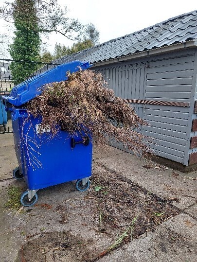 groencontainer