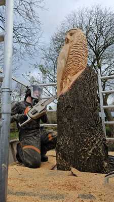 img-20240328-wa0005-002
