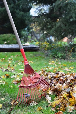 rake-2876078-1280