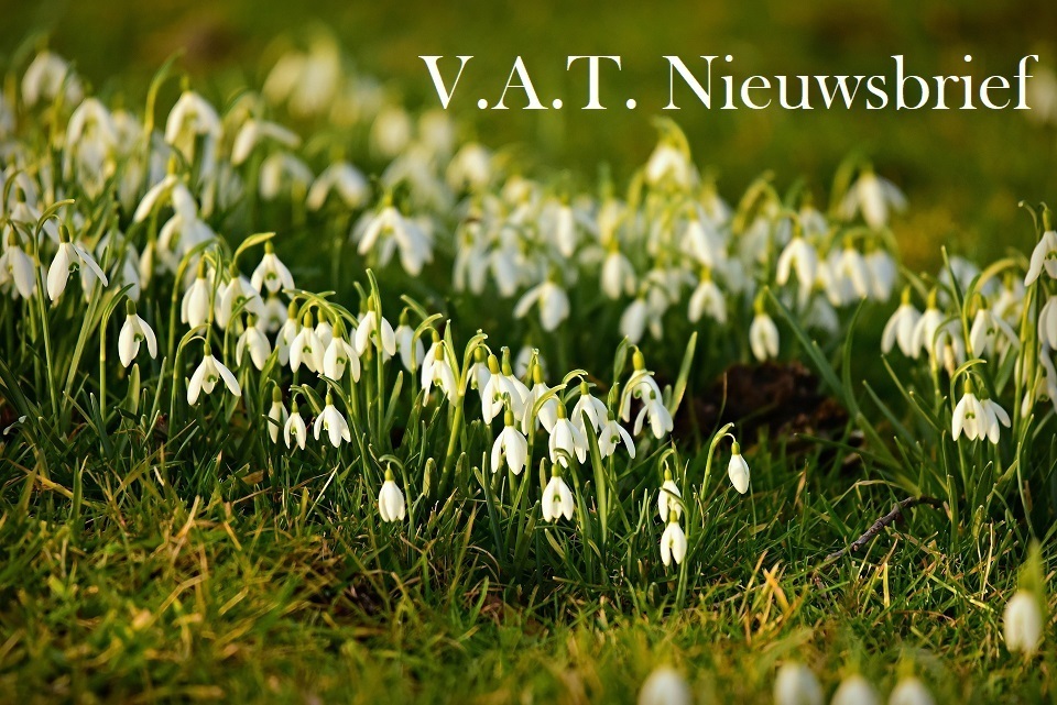 snowdrop-gf4c374308-1920