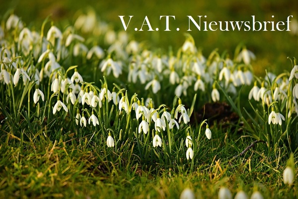snowdrop-gf4c374308-1920