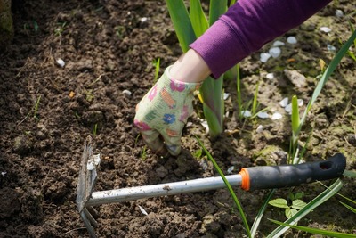work-in-the-garden-2432111-1280